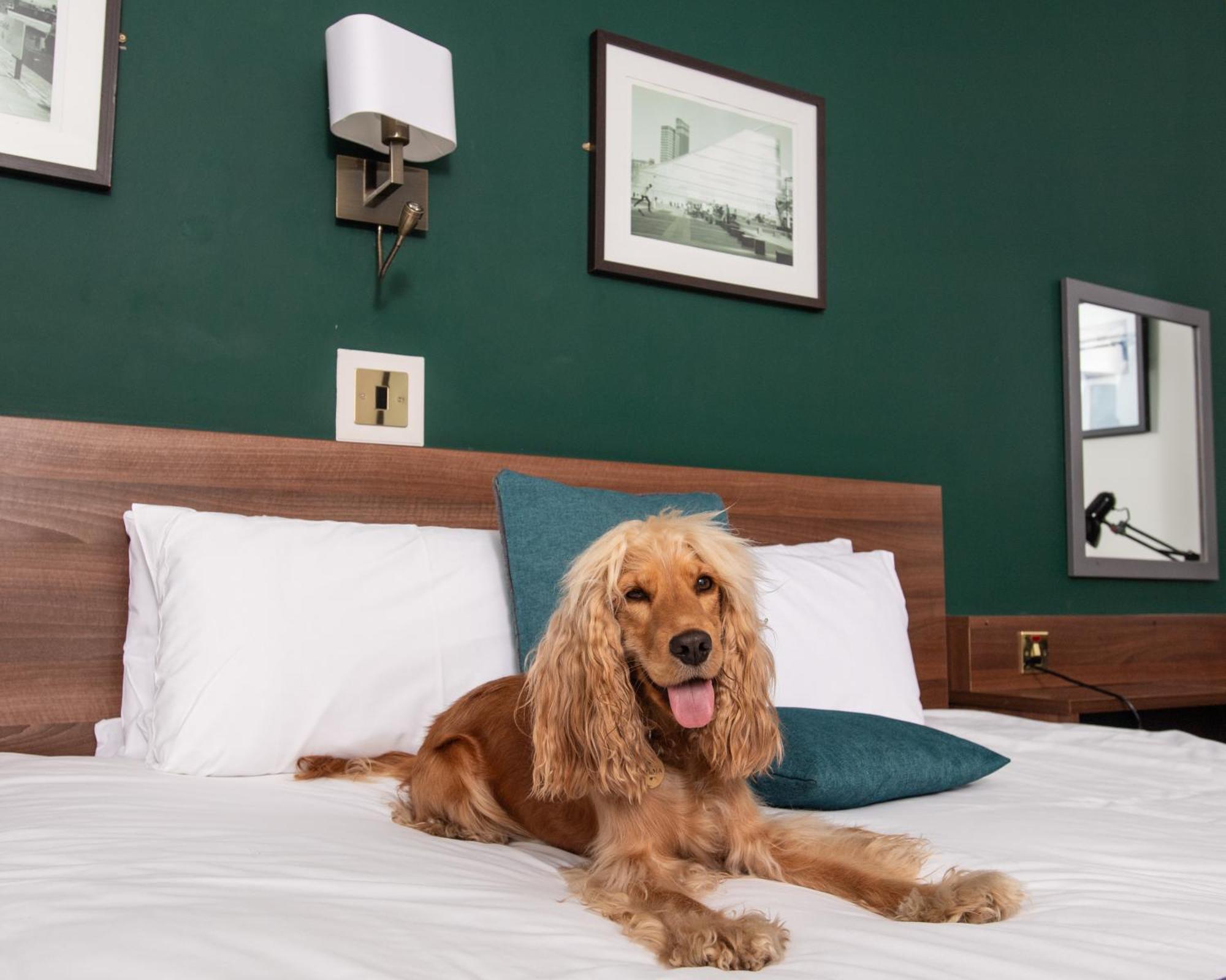 Castlefield Hotel, Manchester